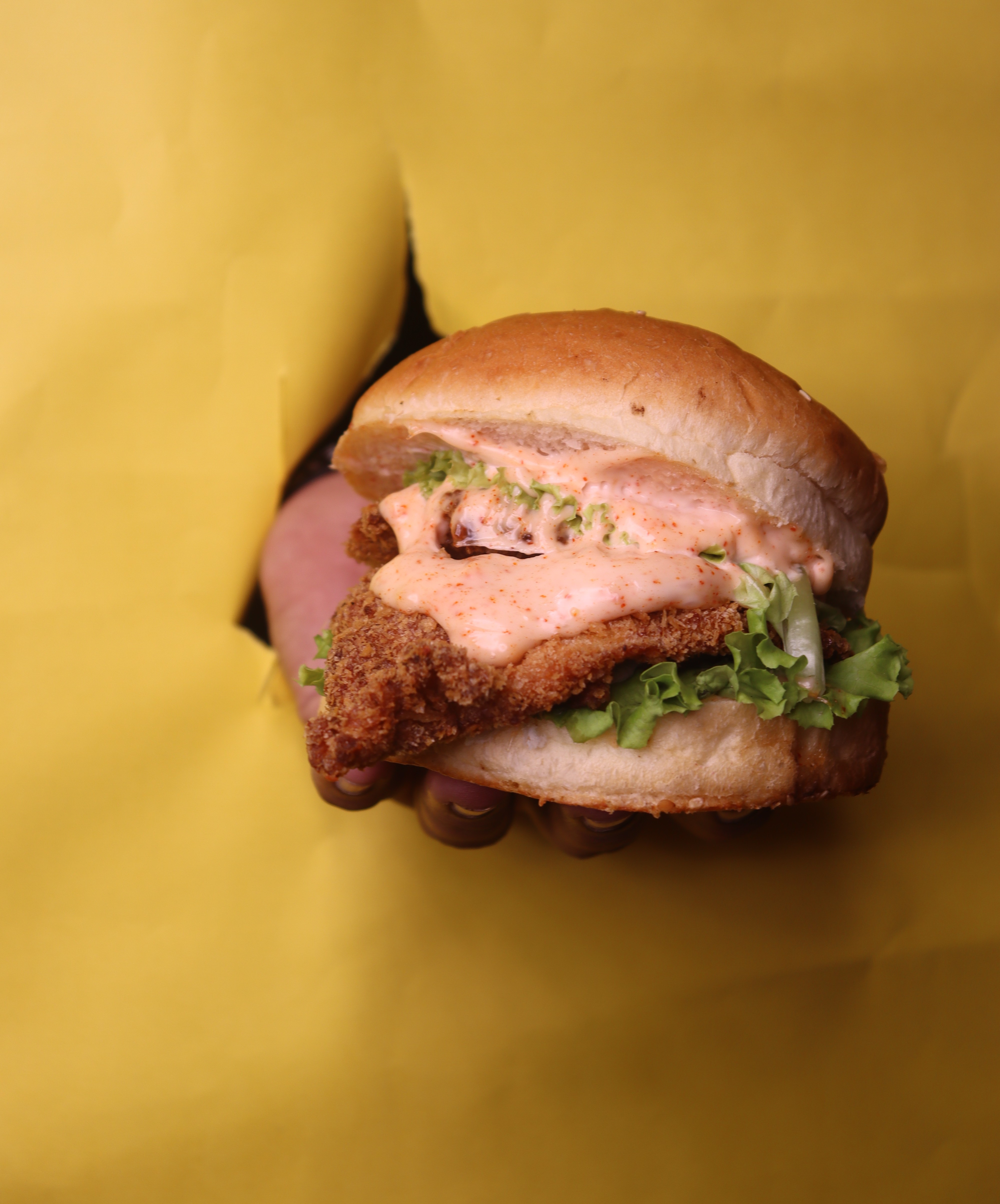 Blackyard Special Burger